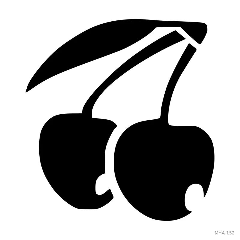 MR. HAIR ART STENCIL - CHERRIES