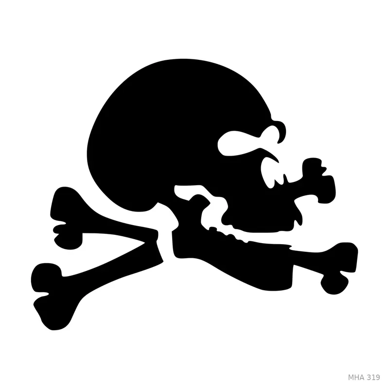 MR. HAIR ART STENCIL - SKULL AND BONES 1