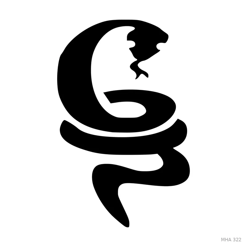 MR. HAIR ART STENCIL - SNAKE 2